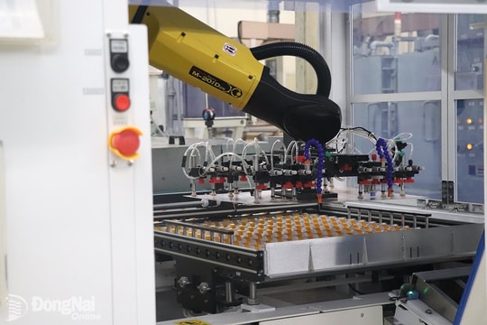 Những 'tay to' giúp Đồng Nai xuất siêu kỷ lục hơn 6,5 tỷ USD và hút 2 tỷ USD vốn FDI sau 8T2025