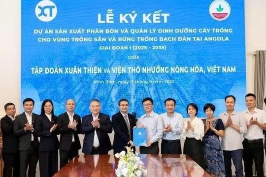 Hành động mới của "Bầu" Thiện tại châu Phi