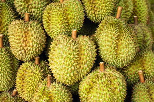 Quyết lấy lại thị phần tại Trung Quốc, một ông lớn Thái Lan chuẩn bị ra mắt xôi sầu riêng ăn liền, sẽ mở rộng sang cả thị trường châu Âu