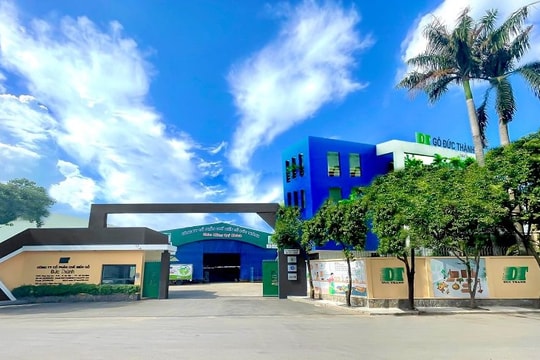 Gỗ Đức Thành (GDT) bị phạt hơn 200 triệu đồng vì vi phạm công bố thông tin và giao dịch với người nội bộ trái quy định