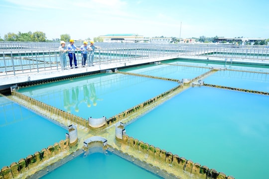 Cổ đông lớn Sonadezi không đồng ý điều chỉnh kế hoạch SXKD năm 2025 và lương thưởng Chủ tịch HĐQT 163 triệu đồng/tháng của Dowaco