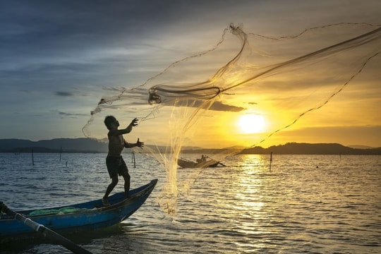 Chứng khoán bật tăng, nhà đầu tư coi chừng ‘cái bẫy’ nguy hiểm này