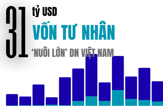 31 tỷ USD 'nuôi lớn' Masan, Tiki, Equest, Golden Gate... trong 1 thập kỷ từ dòng vốn tư nhân 
