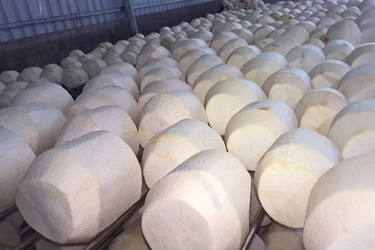 Vượt Trung Quốc, Mỹ chi hơn 2.100 tỷ để nhập một “sản vật” của Việt Nam, hơn 40 quốc gia cũng đặt hàng