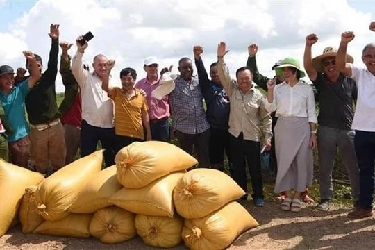 Cuba muốn học hỏi một kỹ thuật của Việt Nam trong lĩnh vực nuôi sống một nửa nhân loại: Kỳ tích