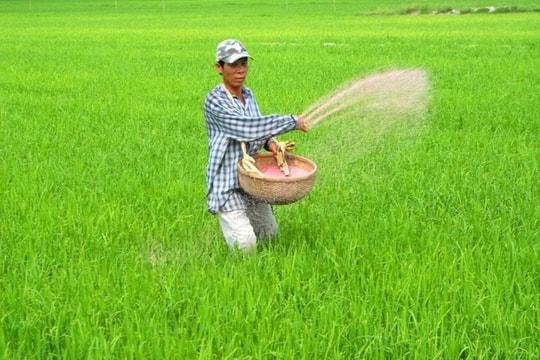 Áp thuế VAT 5% với phân bón để bảo đảm bình đẳng giữa các doanh nghiệp