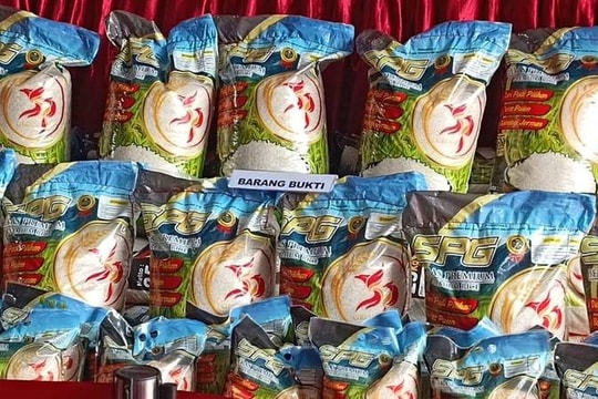 Đột kích xưởng sản xuất 14 tấn gạo giả mỗi ngày suốt 2 năm, bắt giữ chủ doanh nghiệp xay xát có tiếng, hơn 12 tấn gạo nhái bị tịch thu 
