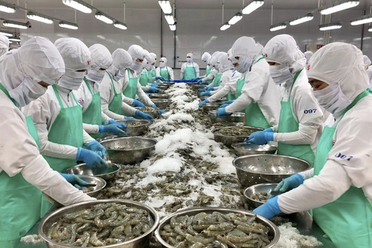 ADB: Rủi ro lớn nhất đối với triển vọng kinh tế 2025-2026 của Việt Nam là sự bất ổn định về thuế quan