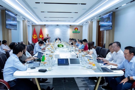 Đạm Cà Mau (DCM): Lãi quý 3 gấp 2,6 lần cùng kỳ, lợi nhuận 9 tháng vượt kế hoạch cả năm 