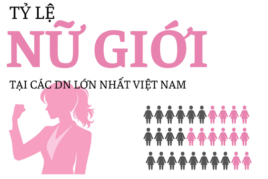 'Đế chế' của ông Phạm Nhật Vượng chỉ có 37,3% nhân sự nữ nhưng các nữ tướng chiếm 59%, ngân hàng là 'thánh địa' của giới nữ ngoại trừ Sacombank