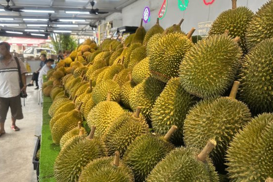 Là vựa sầu riêng lớn nhất Đông Nam Á, đối thủ của Việt Nam cho biết chỉ nhận về 10% giá trị vì trung gian qua Thái Lan, sắp xuất khẩu trực tiếp sang Trung Quốc