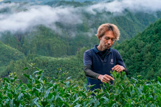 Nhật Bản đang sở hữu loại bột được ví như 'vàng xanh', cả thế giới đổ xô tới đây săn lùng, cung không đủ cầu