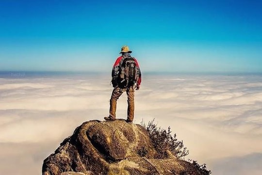 Một cổ phiếu đầu ngành tăng vùn vụt lên đỉnh lịch sử sau khi báo lãi quý 3 kỷ lục