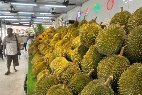 Một đối thủ sầu riêng của Thái Lan, Việt Nam rục rịch gia nhập thị trường Trung Quốc, chuyên gia khẳng định: Cần ít nhất 2 năm nữa để làm điều này