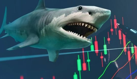 “Cá mập” quy mô gần 14.000 tỷ đồng có thể mua mạnh cổ phiếu này trong kỳ cơ cấu tháng 10