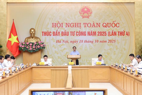 Tin vui từ Hà Tĩnh, Ninh Bình, Hải Phòng 