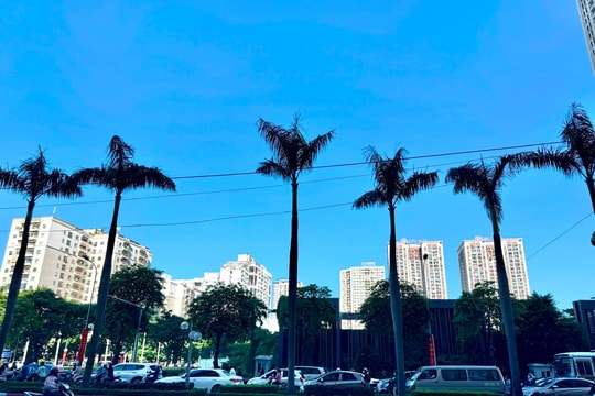 Nguồn cung tăng, vì sao giá bất động sản vẫn chưa hạ nhiệt?