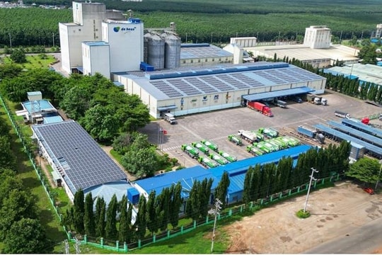 DN Hà Lan rót 10.000 tỷ, biến Việt Nam thành trung tâm nông nghiệp công nghệ cao tiêu biểu Đông Nam Á