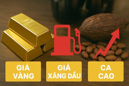 Thị trường ngày 23/10: Dầu tăng vọt, vàng điều chỉnh, ca cao và cà phê tiếp tục lập đỉnh