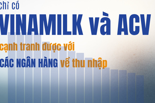 20 DN lớn nhất: Chỉ Vinamilk và ACV trả lương binh quân trên 30 triệu/tháng, cạnh tranh được với Ngân hàng - Chứng khoán, công ty nào có thu nhập 70,5 triệu/tháng?