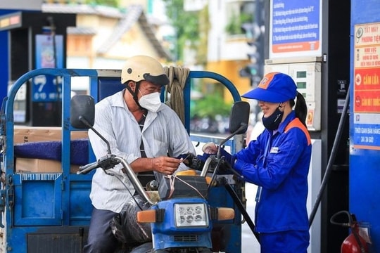 Giá xăng từ đầu năm đến nay: Chu kỳ biến động dày đặc, chịu tác động mạnh từ giá dầu thế giới và chính sách điều hành trong nước