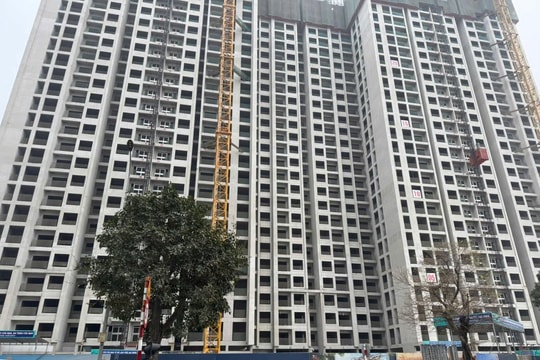 Bất động sản Hà Nội quý 3/2025: Căn hộ “cháy hàng”, biệt thự liền kề tăng giá 5-8% Bất động sản Hà Nội quý 3/2025: Căn hộ “cháy hàng”, biệt thự liền kề tăng giá 5-8%