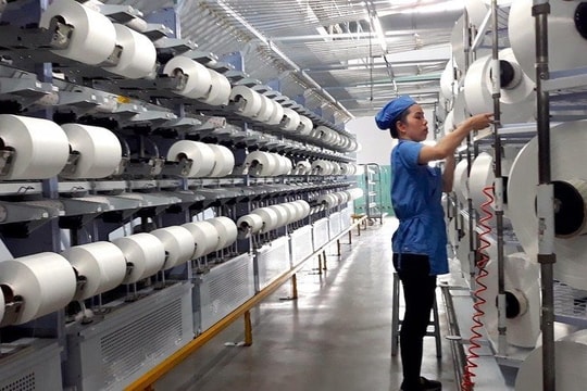'Cú đấm' của tỷ giá khiến công ty sợi trên sàn giảm 87% lợi nhuận trong quý 3 'Cú đấm' của tỷ giá khiến công ty sợi trên sàn giảm 87% lợi nhuận trong quý 3