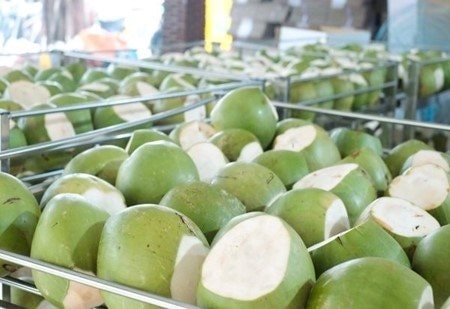 Sau sầu riêng, thêm một 'sản vật' của Việt Nam trở thành đối thủ lớn của Thái Lan: sản lượng hơn 2 triệu tấn/năm, nước ta là ông lớn thứ 7 thế giới Sau sầu riêng, thêm một 'sản vật' của Việt Nam trở thành đối thủ lớn của Thái Lan: sản lượng hơn 2 triệu tấn/năm, nước ta là ông lớn thứ 7 thế giới