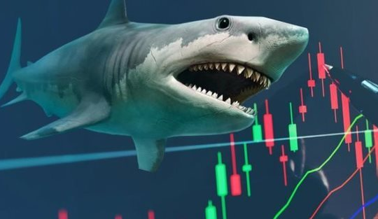 Cổ phiếu FPT và một mã ngân hàng có thể được loạt cá mập tổng quy mô 14.000 tỷ "săn lùng" trong kỳ cơ cấu quý 4 Cổ phiếu FPT và một mã ngân hàng có thể được loạt cá mập tổng quy mô 14.000 tỷ "săn lùng" trong kỳ cơ cấu quý 4