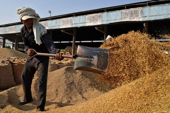 Giá gạo sắp thêm áp lực: Vựa lúa của thế giới vừa thu hoạch kỷ lục 146 triệu tấn, nhắm đến 26 thị trường tiềm năng bao gồm cả Việt Nam Giá gạo sắp thêm áp lực: Vựa lúa của thế giới vừa thu hoạch kỷ lục 146 triệu tấn, nhắm đến 26 thị trường tiềm năng bao gồm cả Việt Nam