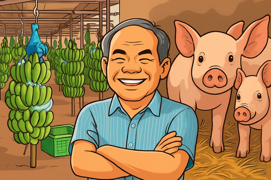 Chân dung 2 DN nghìn tỷ của Hoàng Anh Gia Lai muốn niêm yết năm 2026, 2027: Có công ty được chuyển 300 tỷ tiền nợ thành vốn góp  Chân dung 2 DN nghìn tỷ của Hoàng Anh Gia Lai muốn niêm yết năm 2026, 2027: Có công ty được chuyển 300 tỷ tiền nợ thành vốn góp