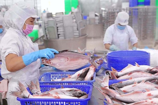 Quý 3/2025: "Nữ hoàng" cá tra Vĩnh Hoàn báo lãi tăng vọt 35%, "thoái" hơn trăm tỷ loạt cổ phiếu bất động sản 