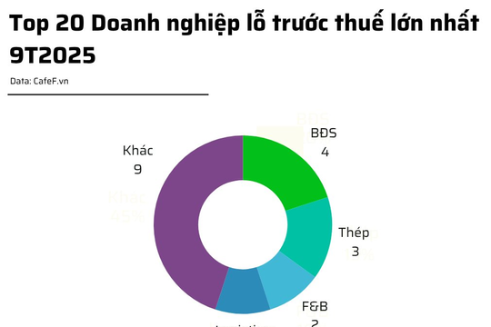 20 doanh nghiệp lỗ lớn nhất 9T2025: Novaland đầu bảng, ngành bất động sản áp đảo, 14 doanh nghiệp lỗ trăm tỷ