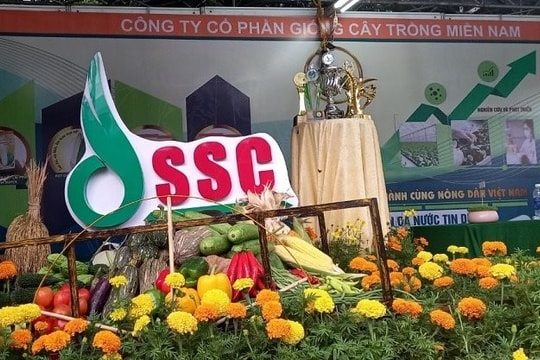 Tòa án TP.HCM tuyên bố phá sản công ty con của một công ty trên sàn chứng khoán