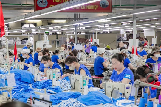 TNG được gia hạn doanh nghiệp ưu tiên, trả cổ tức tiền mặt đợt 2/2025