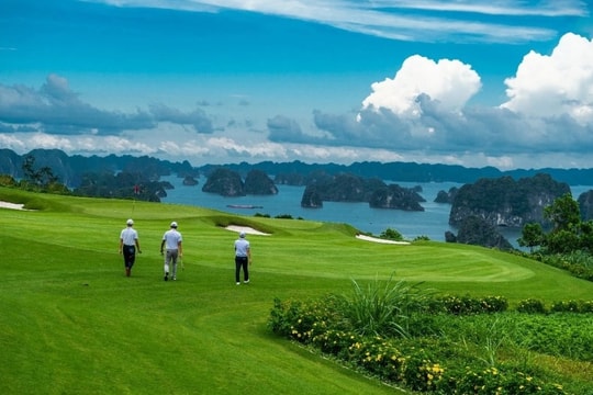 Chuyên gia Nhật Bản và Việt Nam nhận định: Không phải bóng đá, đây mới là môn thể thao có giá trị kinh tế “khủng” nhất, mỗi năm thu về cả tỷ USD