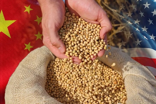 Trung Quốc dỡ bỏ một phần thuế trả đũa đối với nông sản Mỹ, nhưng vẫn giữ thuế 13% với đậu tương