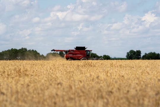 Sau 1 năm quay lưng, quốc gia BRICS nhập lại nông sản chủ chốt của Mỹ, thị trường thở phào nhẹ nhõm