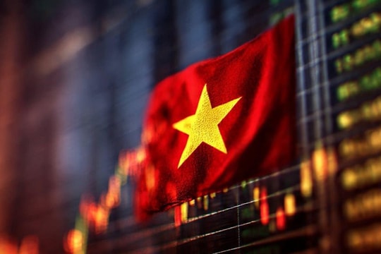 Một lĩnh vực tại Việt Nam lên như diều gặp gió, số lượng nhà đầu tư tăng mạnh, tương đương 11% dân số