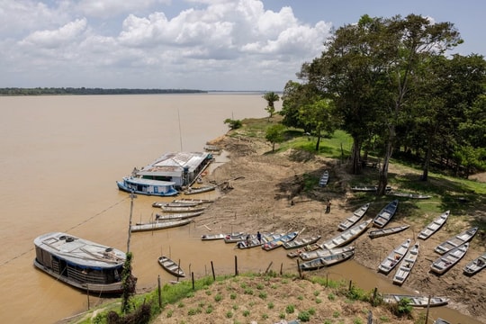 Không phải vàng hay dầu, nền kinh tế trên 200 triệu dân săn lùng ‘kho báu’ trải dài 400 km sâu dưới rừng nhằm dắt lưng 'vũ khí' giữa thương chiến, Trung Quốc ngỏ ý tham gia
