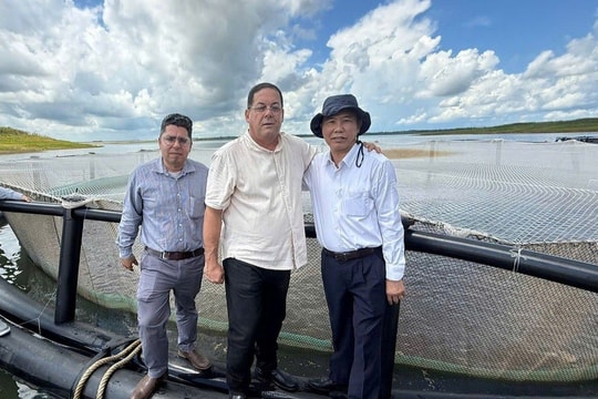 Sau hơn 10 năm, một loài cá tỷ USD của Việt Nam tạo nên kỳ tích tại Cuba: Tiềm năng rất lớn