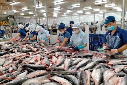 Kinh tế Việt Nam 2025: Tăng trưởng dẫn đầu khu vực nhưng tiềm ẩn nhiều bất định từ các yếu tố bên ngoài và thách thức nội tại