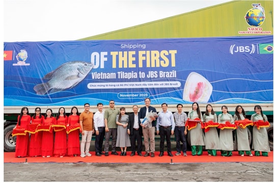 Đơn hàng 700 tấn cá rô phi Việt Nam lần đầu vào Brazil: Ai đứng sau?