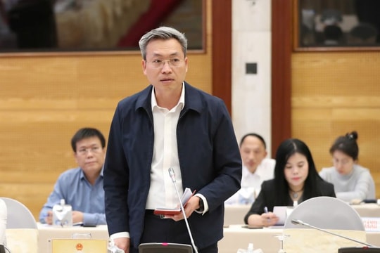 Vụ án Hoàng Hường: Đã kê biên 2 tài sản hơn 320 tỷ đồng để khắc phục hậu quả