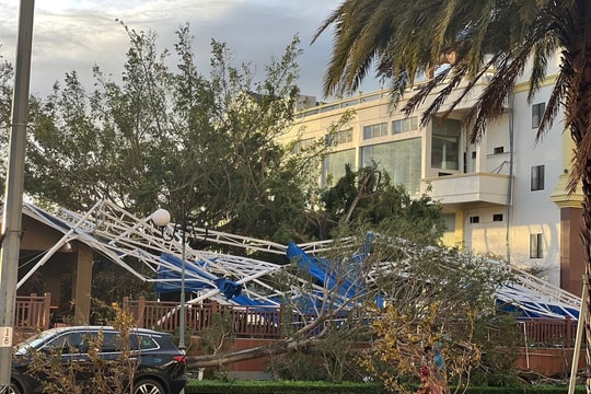 Bão số 13 tàn phá Gia Lai, nông trường chuối của Bầu Đức ra sao?