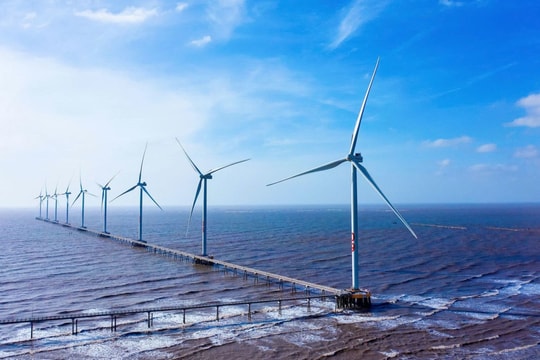 REE rót thêm 3.250 tỷ làm điện gió