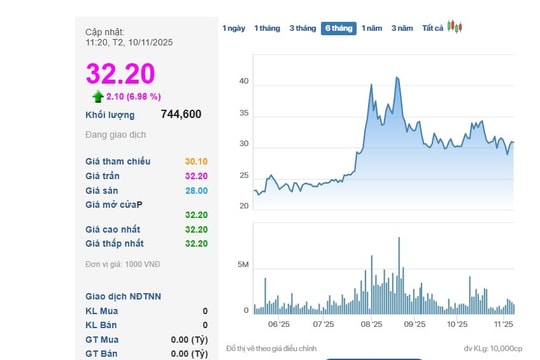 Cổ phiếu PET tăng kịch trần sau thông tin PVN thoái vốn