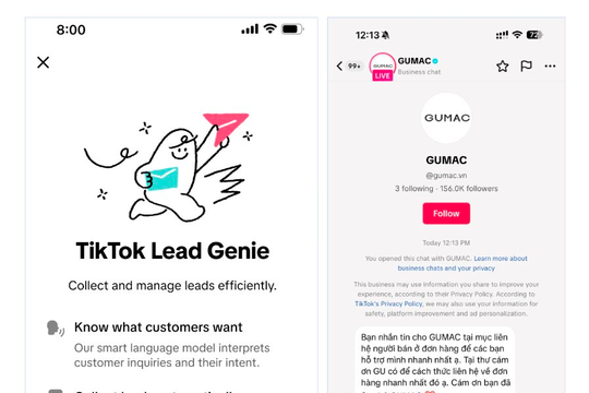 Chatbot AI trong tin nhắn của TikTok có tác dụng gì?