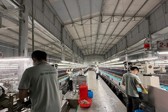 Bên trong nhà máy sợi tơ tằm xuất khẩu giá 1,6 triệu đồng/kg của Bầu Đức có gì?