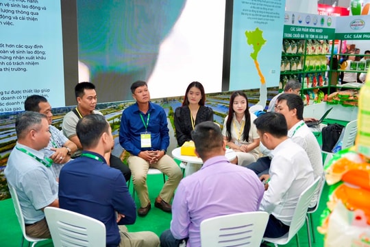 VCCI hỗ trợ doanh nghiệp và HTX trong chuỗi giá trị tôm và lúa gạo tăng cường liên kết, tiếp cận thị trường quốc tế